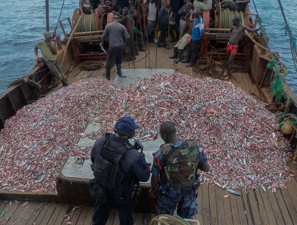 west africa fishing