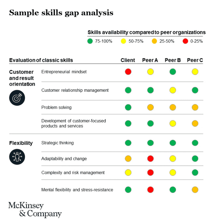 Using Skill Gap Assessment 2