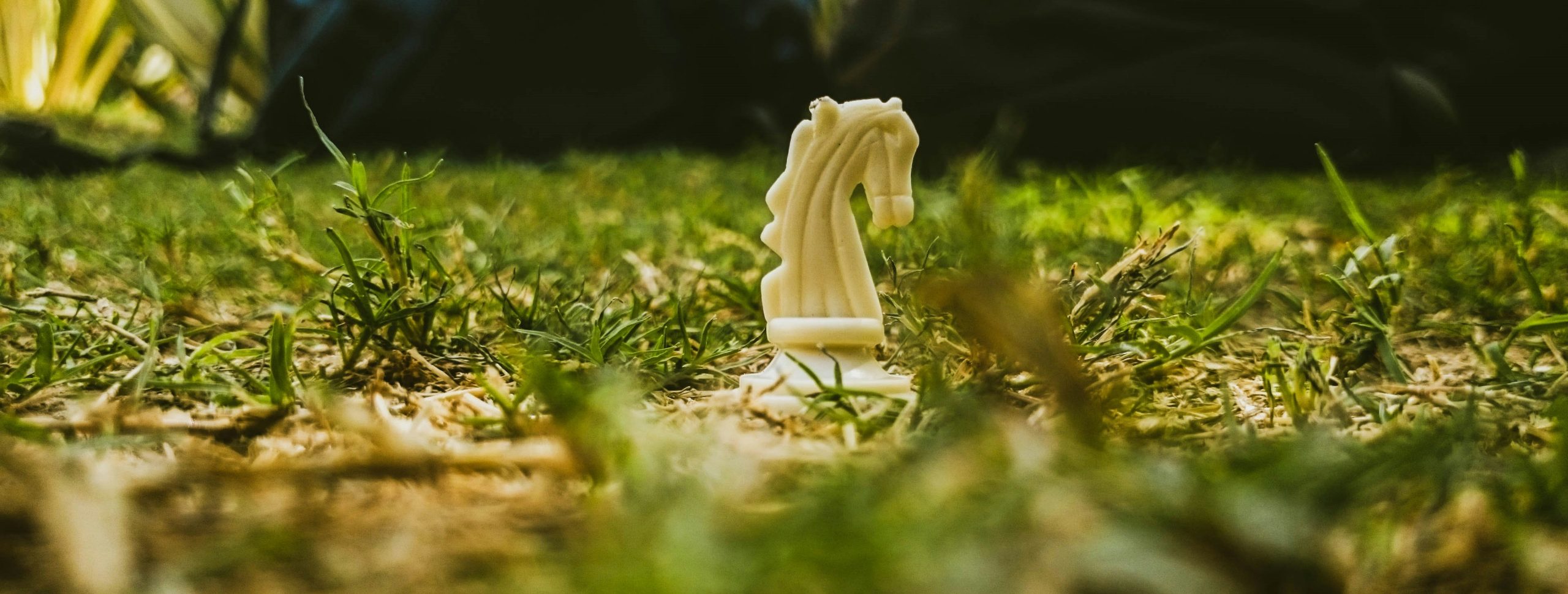 taruf M8T0IMvuqPs unsplash 1 scaled